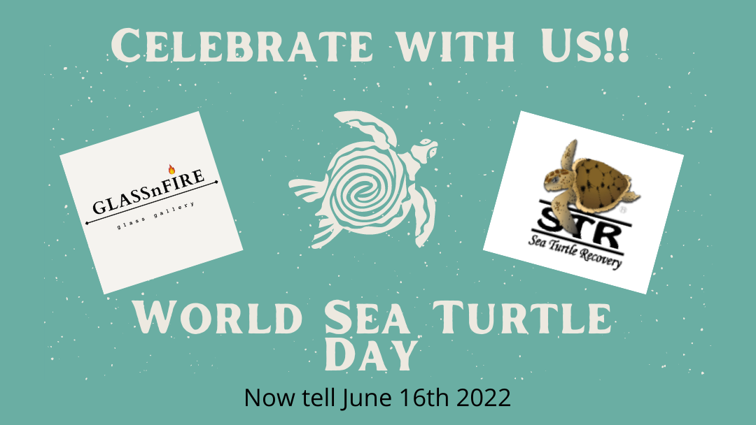 World Sea Turtle Day is Coming Soon, so Let's Celebrate !!!